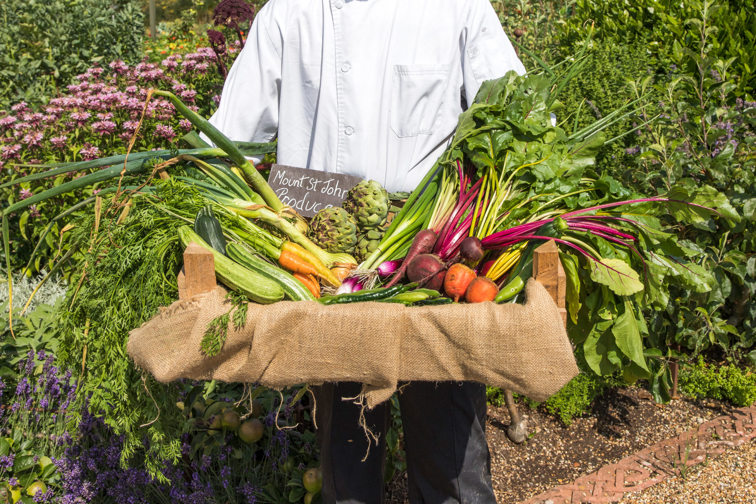 Mount St John kitchen garden produce